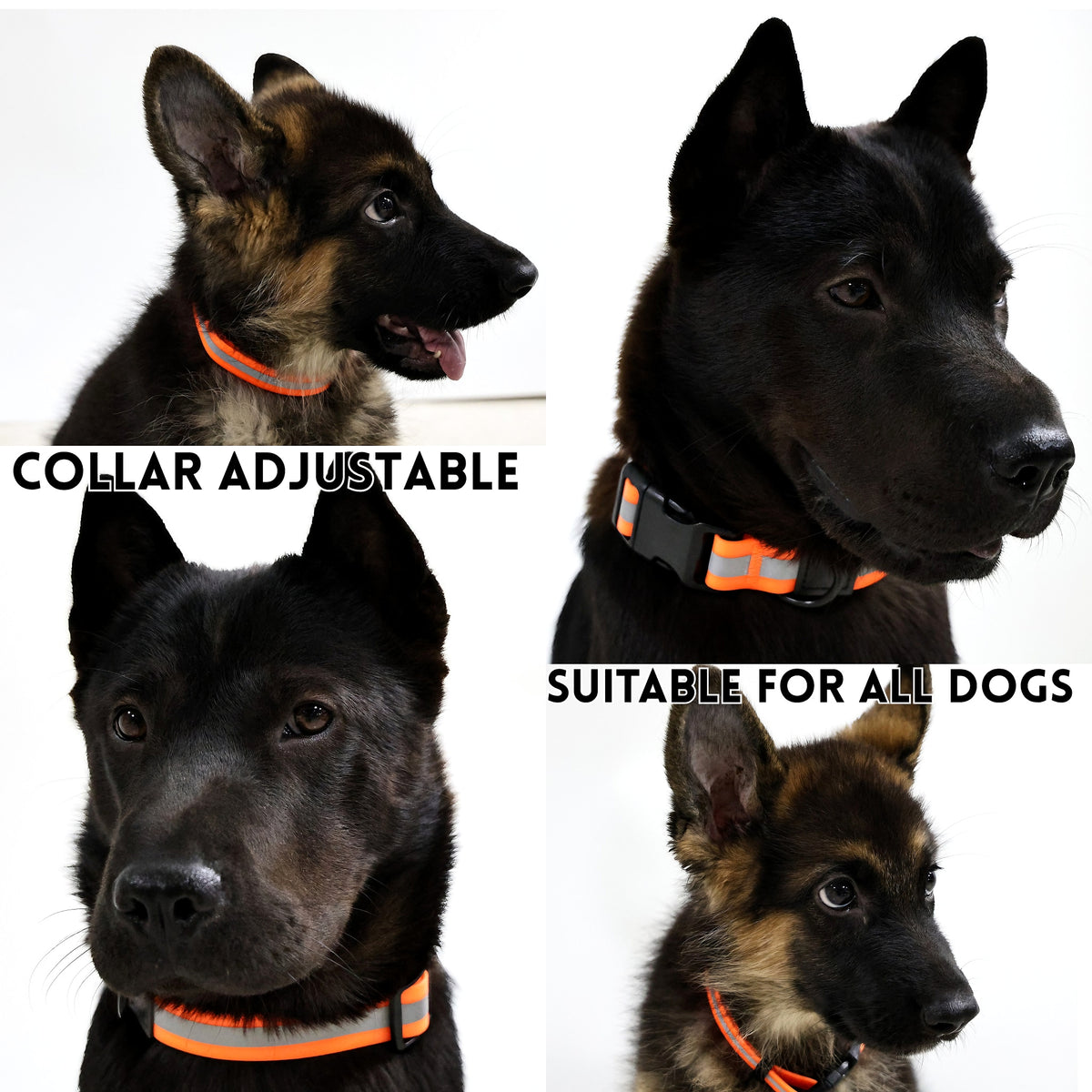 Reflective Collar and Leash Set 8