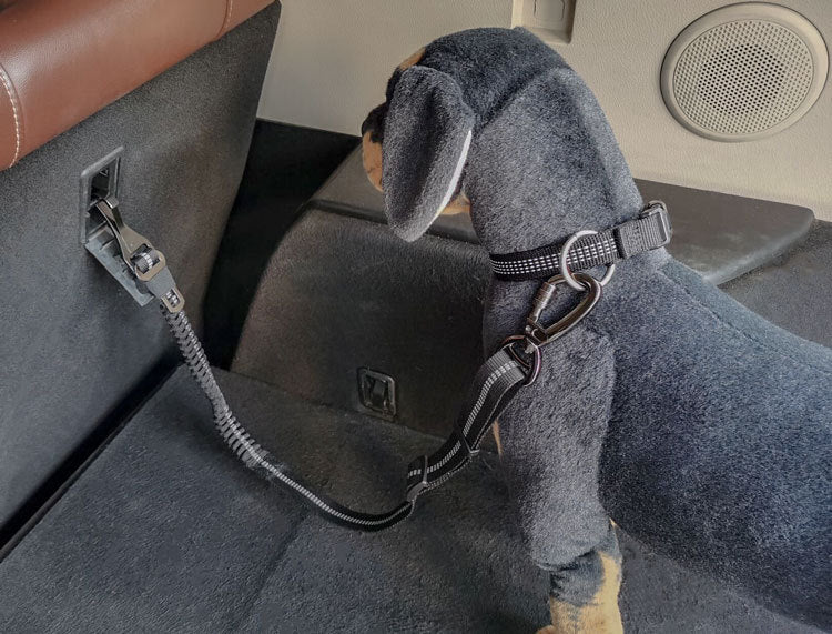 Reflective Bungee Dog Seat Belt 4