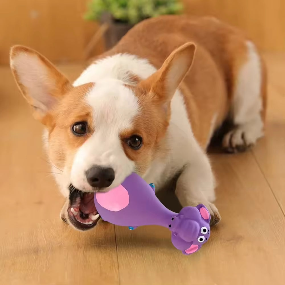 Latex Squeaky Chew Toys – 4 Pack (Ships from US) 3