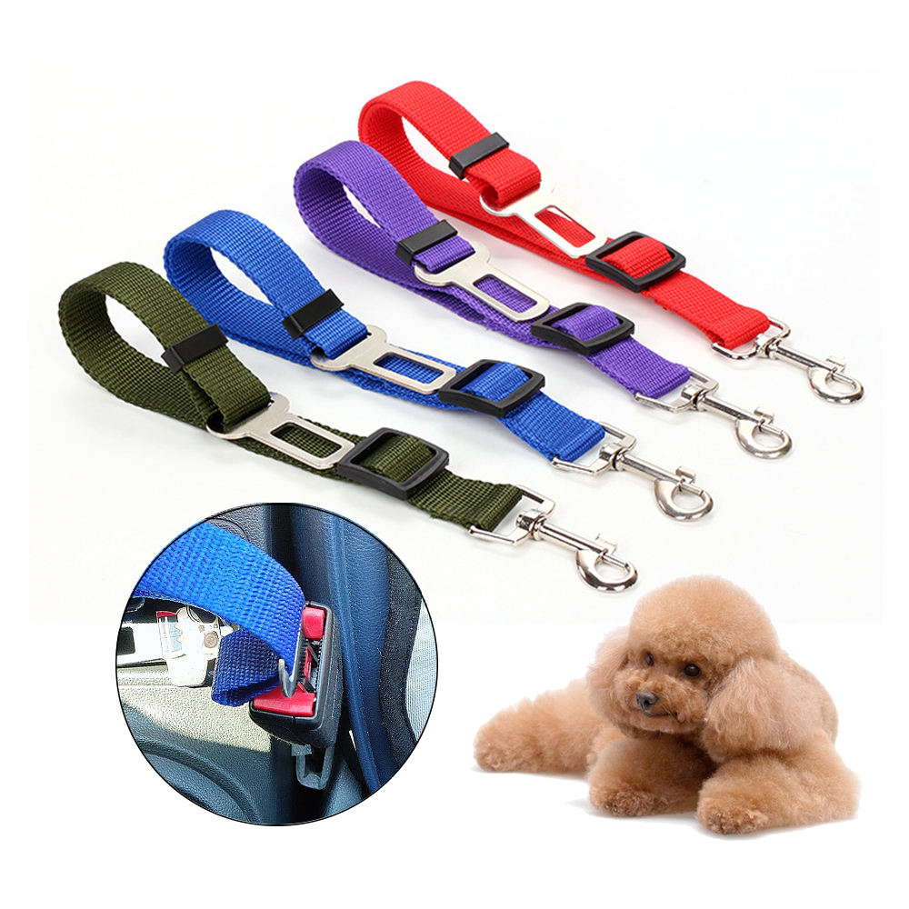 Car Seat Belt Leash – Nylon (Ships from US)