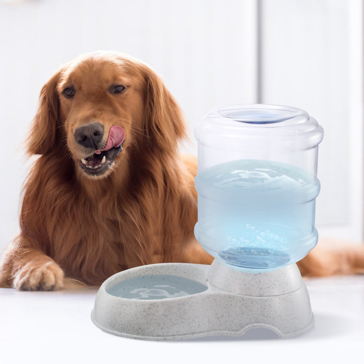Gravity Pet Water Dispenser – 1 Gallon 2