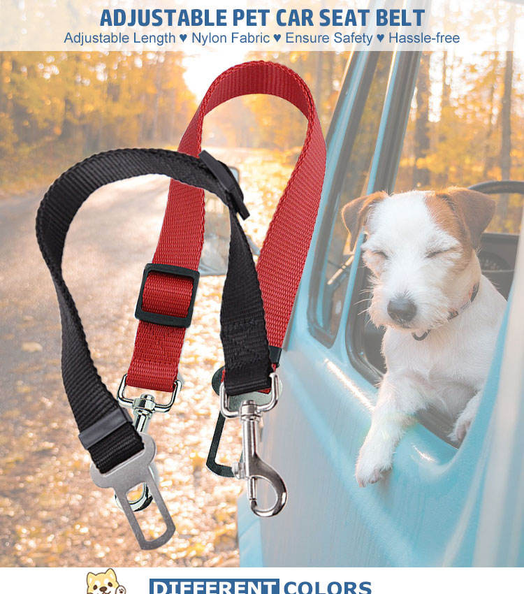 Car Seat Belt Leash – Nylon (Ships from US) 4