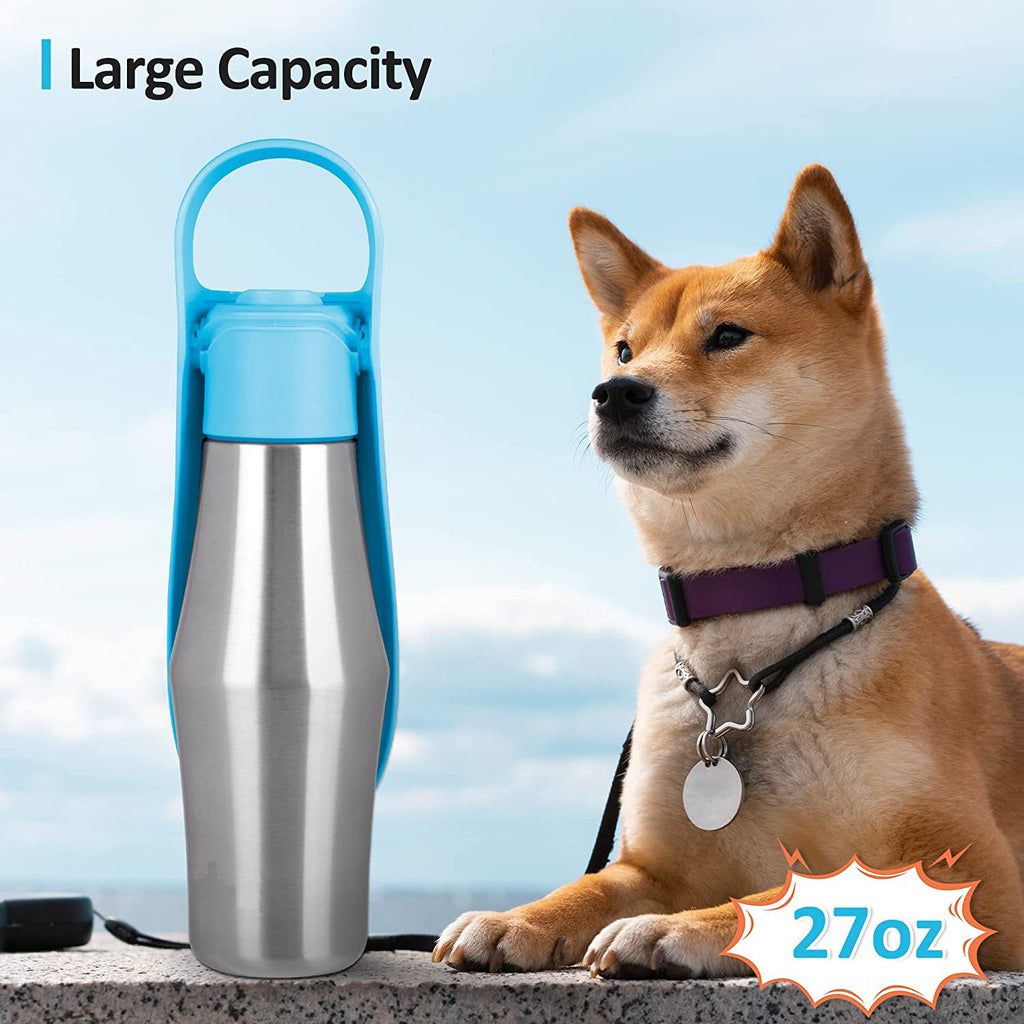 Stainless Steel Dog Travel Bottle with Silicone Bowl