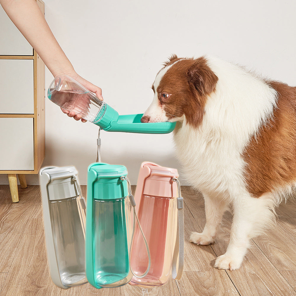 Fold-Flat Dog Water Bottle – 18 oz